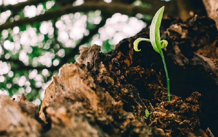 Article Image for Growth Hacking for B2B Professional Services  