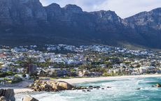 Article Image for Strategic Alliances in the South African Market  